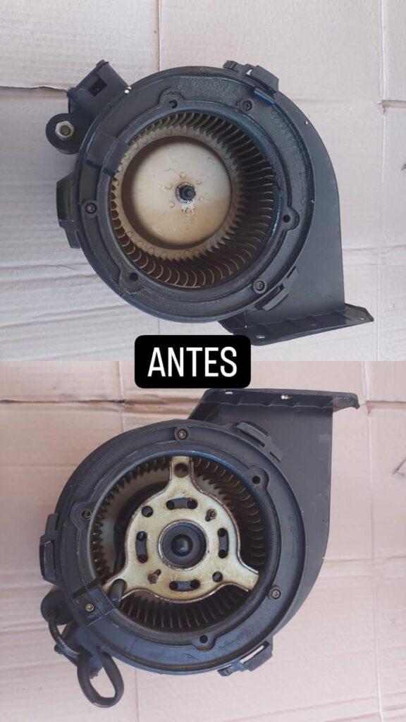 Imagen de WhatsApp 2025-05-05 a las 11.13.08_c04270da